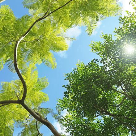 法人向け 日本美容予防医学協会事業